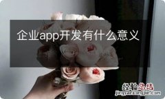 企业app开发有什么意义