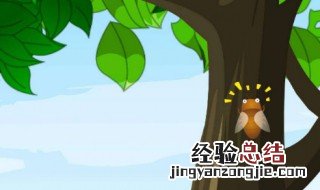 蝉的幼虫叫什么名字 蝉的幼虫叫什么