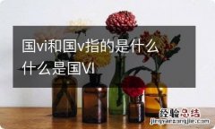 国vi和国v指的是什么 什么是国VI