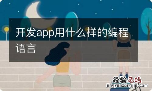 开发app用什么样的编程语言