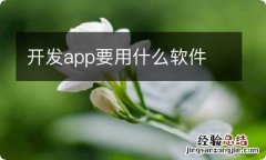 开发app要用什么软件