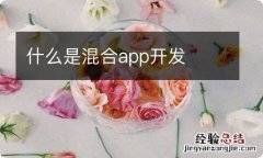 什么是混合app开发