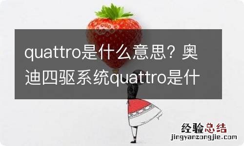 quattro是什么意思? 奥迪四驱系统quattro是什么意思