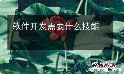 软件开发需要什么技能