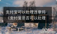 支付宝是否可以处理违章 支付宝可以处理违章吗