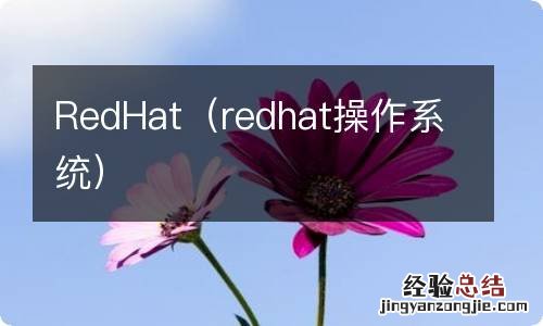 redhat操作系统 RedHat