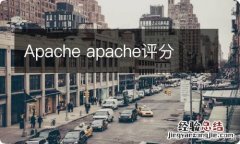 Apache apache评分