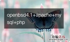 openbsd4.1+apache+mysql+php