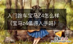 宝马z4值得入手吗 入门跑车宝马Z4怎么样