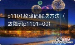 故障码p1101-00 p1101故障码解决方法