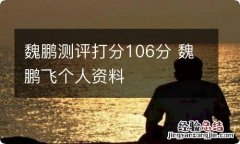 魏鹏测评打分106分 魏鹏飞个人资料