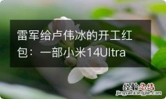 雷军给卢伟冰的开工红包：一部小米14Ultra