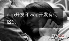 app开发和wap开发有何区别