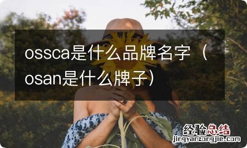 osan是什么牌子 ossca是什么品牌名字