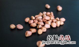 夏天怎样储存花生米不生虫 夏天想要花生米不生虫怎么储存