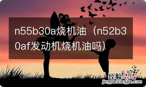 n52b30af发动机烧机油吗 n55b30a烧机油