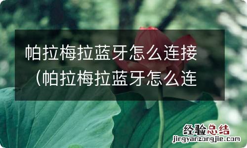 帕拉梅拉蓝牙怎么连接视频 帕拉梅拉蓝牙怎么连接