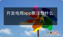 开发电商app要注意什么