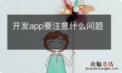 开发app要注意什么问题