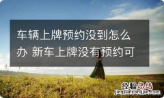 车辆上牌预约没到怎么办 新车上牌没有预约可以去吗