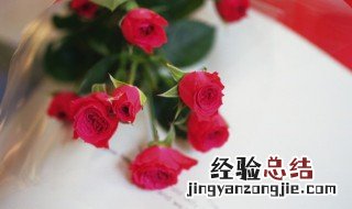 月季花如何栽培 月季花怎么培植