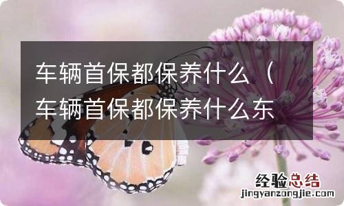 车辆首保都保养什么东西 车辆首保都保养什么