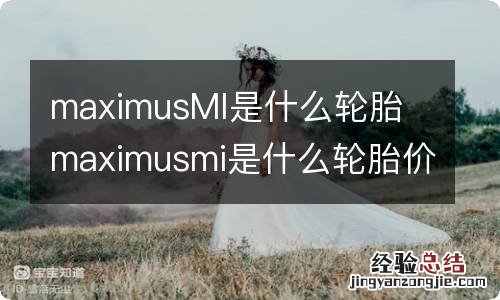 maximusMI是什么轮胎 maximusmi是什么轮胎价格