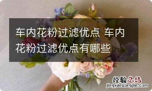 车内花粉过滤优点 车内花粉过滤优点有哪些