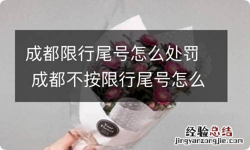 成都限行尾号怎么处罚 成都不按限行尾号怎么处罚