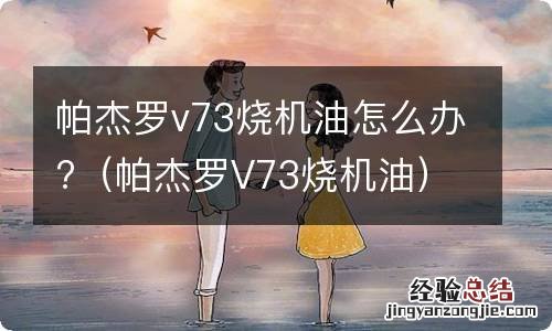 帕杰罗V73烧机油 帕杰罗v73烧机油怎么办?