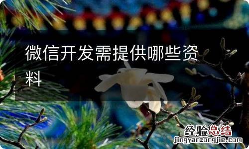 微信开发需提供哪些资料
