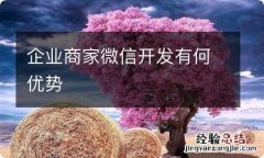 企业商家微信开发有何优势