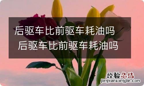 后驱车比前驱车耗油吗 后驱车比前驱车耗油吗知乎