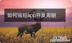 如何缩短app开发周期