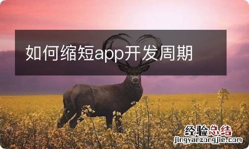 如何缩短app开发周期