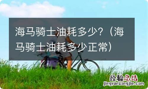 海马骑士油耗多少正常 海马骑士油耗多少?