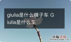 giulia是什么牌子车 Giulia是什么车