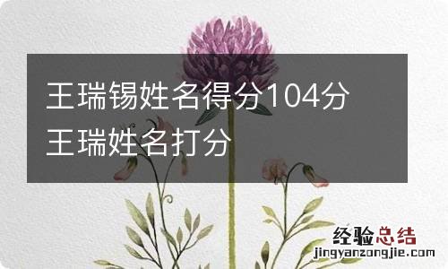 王瑞锡姓名得分104分 王瑞姓名打分