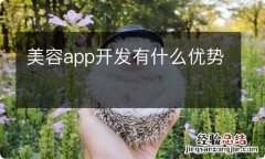 美容app开发有什么优势