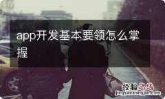 app开发基本要领怎么掌握