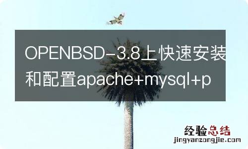 OPENBSD-3.8上快速安装和配置apache+mysql+php+ssl