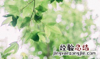 清新脱俗的唯美句子 清新脱俗的唯美句子集锦