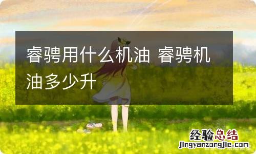 睿骋用什么机油 睿骋机油多少升