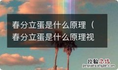 春分立蛋是什么原理视频 春分立蛋是什么原理