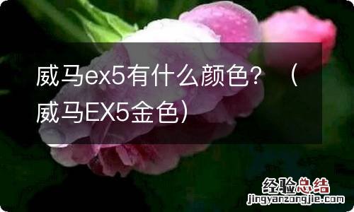 威马EX5金色 威马ex5有什么颜色？