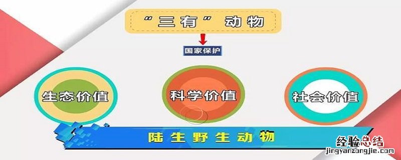 什么是三有野生动物 “三有”野生动物