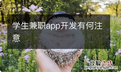 学生兼职app开发有何注意