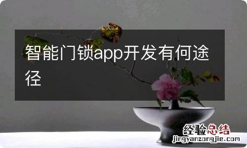 智能门锁app开发有何途径