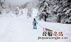 新车用扫把扫了积雪 新车用扫把扫了积雪怎么办