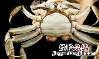 活螃蟹怎么保存一个星期 活螃蟹如何保存一个月